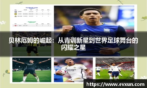 芒果体育官网入口